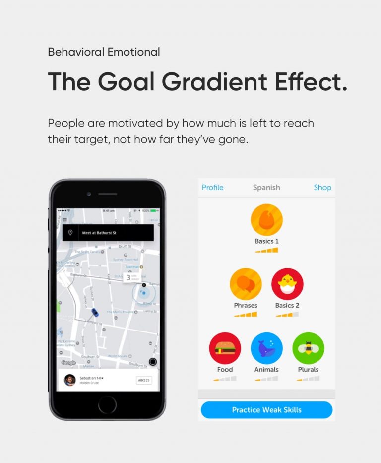 The Behavioral Emotional - Designer. Writer. Animal Lover.